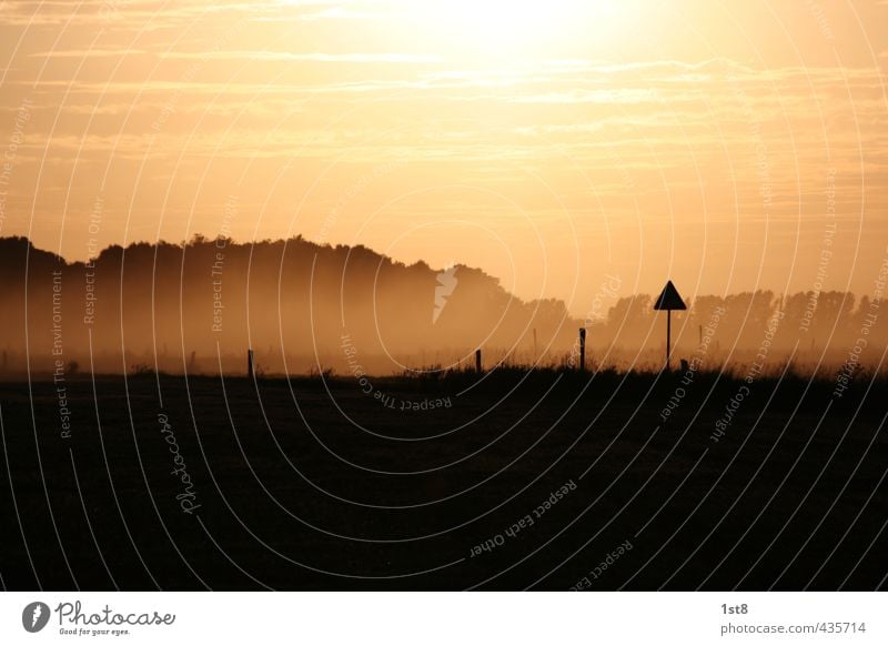 abendliche Weizenernte Umwelt Natur Landschaft Himmel Wolken Horizont Sonne Sommer Nebel Wiese Feld Dorf Verkehrswege Straßenverkehr Verkehrszeichen