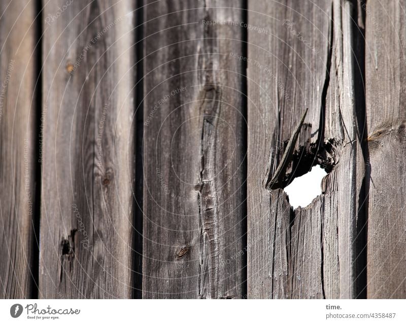 Lost Land Love | another hole to see the sky through (yoko ono) Holz loch splitter tor tür maserung holzwand parallel himmel gesplittert bruch kaputt alt braun