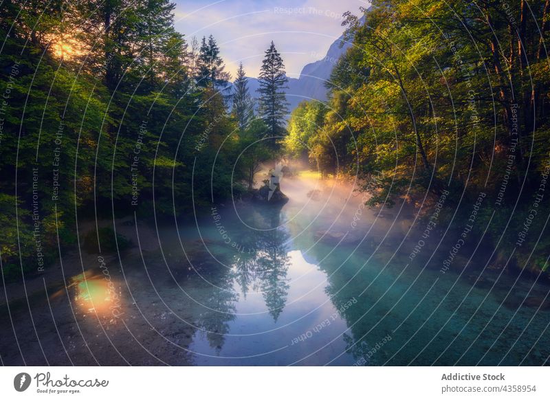 Malerischer Fluss im Hochlandwald am nebligen Morgen Nebel Wald Berge u. Gebirge Landschaft Windstille friedlich Sonnenaufgang Sonnenlicht Slowenien malerisch