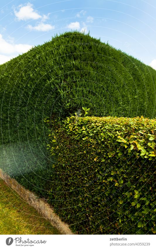 Hecke erholung ferien garten himmel kleingarten kleingartenkolonie knospe menschenleer natur pflanze ruhe saison schrebergarten strauch textfreiraum