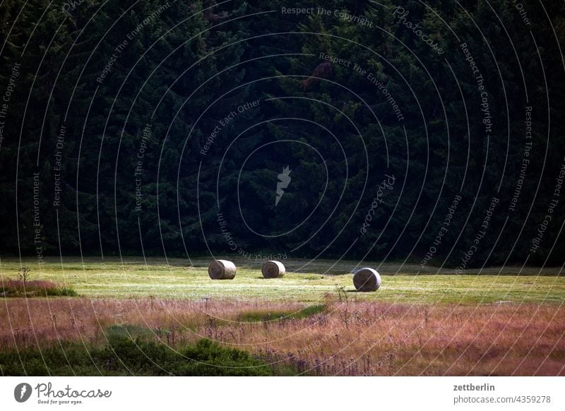 Strohballen deutschland dorf ferien hessen idyll kleinstadt landschaft landwirtschaft nordhessen sommer sommerfrische urlaub wald stroh strohballen getreide