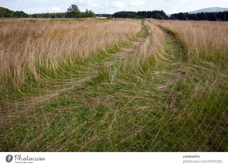 Wildwiese mit Treckerspuren deutschland dorf ferien hessen idyll kleinstadt landschaft landwirtschaft nordhessen sommer sommerfrische urlaub wald weide waldrand