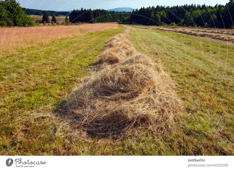 Stroh deutschland dorf ferien hessen idyll kleinstadt landschaft landwirtschaft nordhessen sommer sommerfrische urlaub wald stroh strohballen getreide ernte