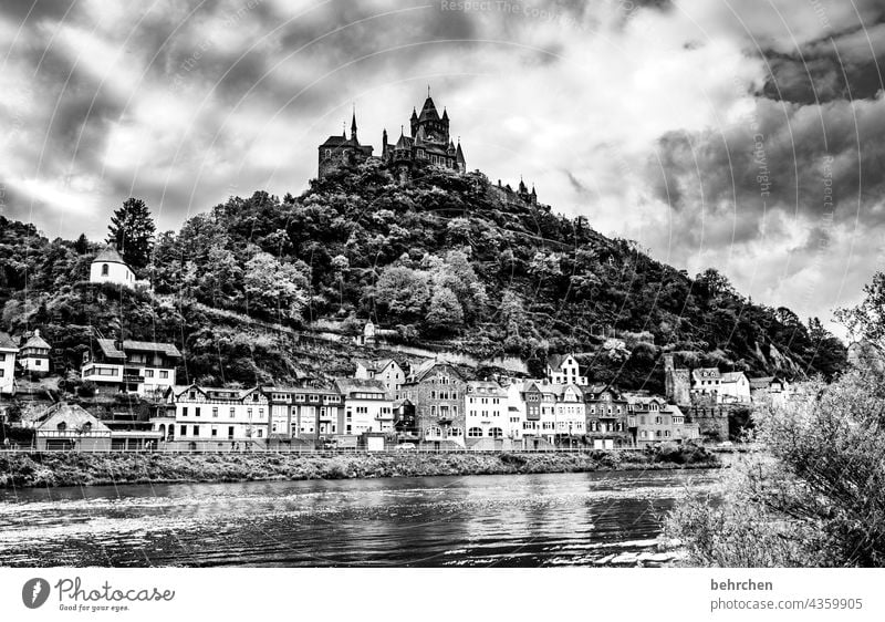 erhaben Schwarzweißfoto herbstlich Jahreszeiten Regen Hunsrück Moseltal Ruhe Herbst Weinbau Rheinland-Pfalz Flussufer Mosel (Weinbaugebiet) Idylle Weinstock