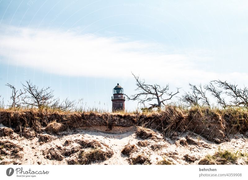 typisch deutsch | ostseestrand darßer leuchtturm Fernweh Sehnsucht Dünengras Sand Sehenswürdigkeit Wahrzeichen Menschenleer Leuchtturm Deutschland