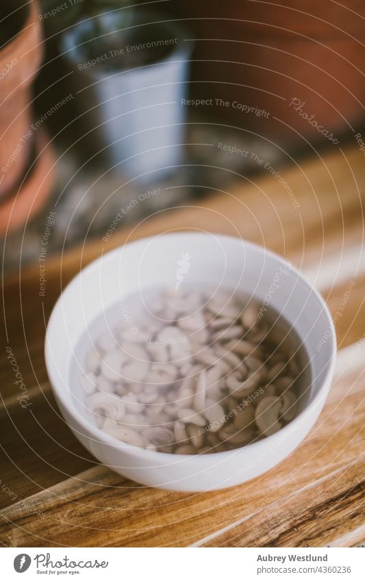 Einweichen von Cashews für die Herstellung von Cashewmilch Blogger blau Cashewnuss Cashewnüsse Kaffee Koch Essen zubereiten Milchkännchen essen Lebensmittel