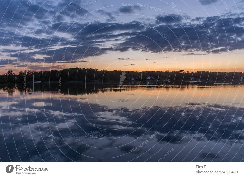 Abendstimmung am See Brandenburg Natur Wasser ruhig Reflexion & Spiegelung Wolken Ufer Baum Himmel Landschaft Ferien & Urlaub & Reisen Idylle Menschenleer