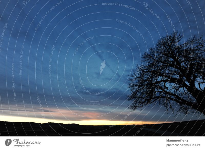 Baum von rechts Expedition Sommer Sommerurlaub Natur Landschaft Himmel Wolken Sonnenaufgang Sonnenuntergang Feld Hügel Straße Ferien & Urlaub & Reisen Blick