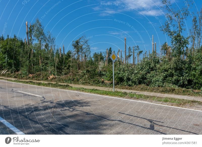 Sturmschäden nach Unwetter Sturmschaden Baum Klima Klimawandel Wind