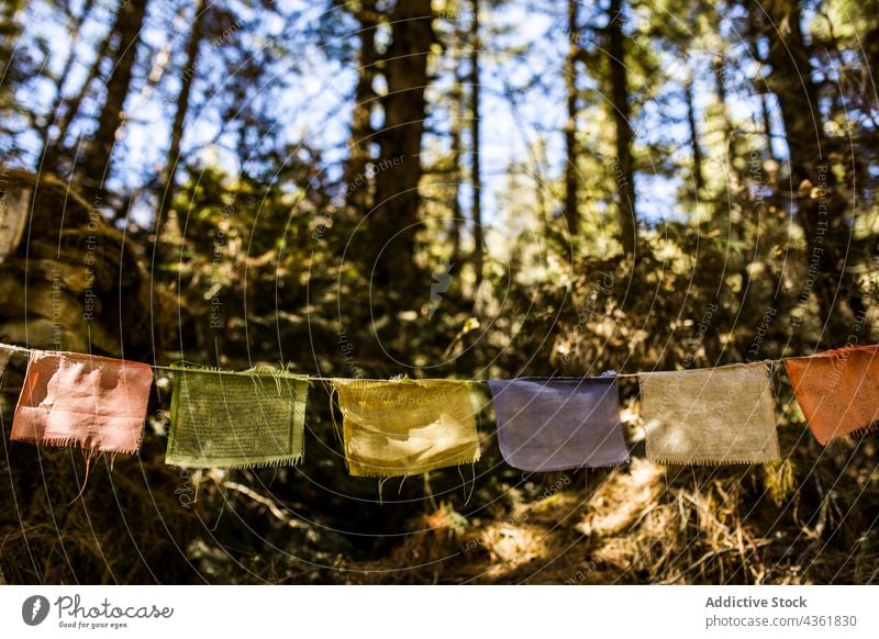 Gebetsfahnen hängen an einem Seil im Wald buddhistisch Fahne religiös Religion farbenfroh Buddhismus Symbol Nepal Tradition Natur hell Kultur Wälder Waldgebiet