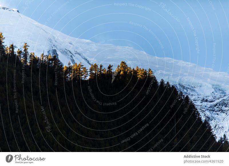 Waldlandschaft und felsiger Bergkamm an einem sonnigen Tag Berge u. Gebirge Kamm Schnee Landschaft nadelhaltig Hochland Ambitus Wälder Himalaya Nepal Umwelt