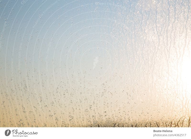 Morgentau am Fenster kündigt schönen Tag an Wassertropfen frühmorgens Licht Sonne Farben morgenlicht Zuversicht Natur Menschenleer Tau Sonnenlicht nass