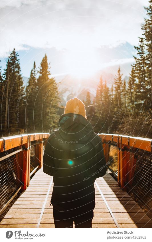 Mann bewundert Berglandschaft von Holzsteg aus Reisender Berge u. Gebirge Natur Brücke Herbst Landschaft erkunden Umwelt männlich reisen Tourismus