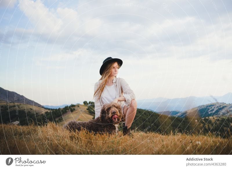 Frau mit flauschigem Hund auf einer Wiese Labradoodle Freund Tier Haustier Besitzer Eckzahn Berge u. Gebirge Zusammensein loyal züchten Natur Begleiter