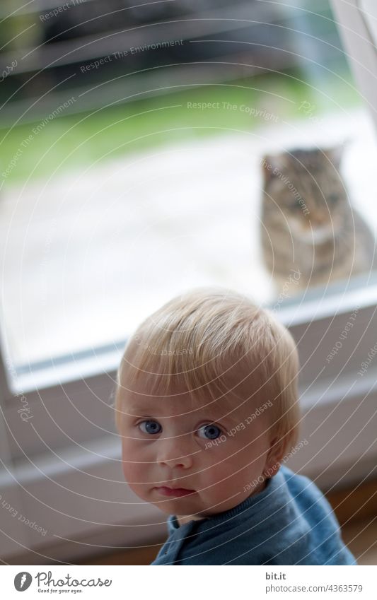 Reinheitsgebot l Begegnung zwischen Glas l der Junge & der Kater l schauen in Richtung gegengleich l Kind & Tier getrennt bei Katzenhaar Allergie l gegenüber sitzend l Blicke treffen sich, wenn Fenster offen ist l Vorfreude & Neugierde l Sesam öffne dich