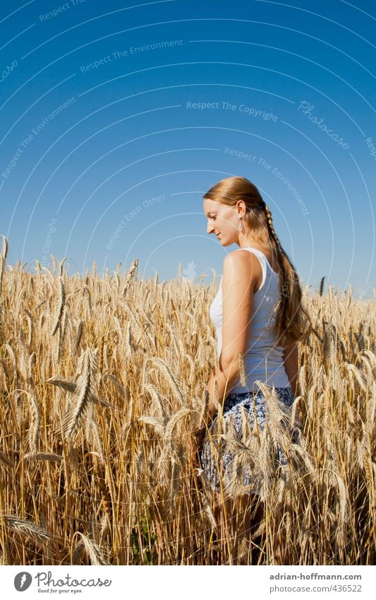 Sommerfeld Mensch feminin Junge Frau Jugendliche Erwachsene 1 18-30 Jahre Natur Landschaft Himmel Wolkenloser Himmel Pflanze Getreide Getreidefeld Feld stehen