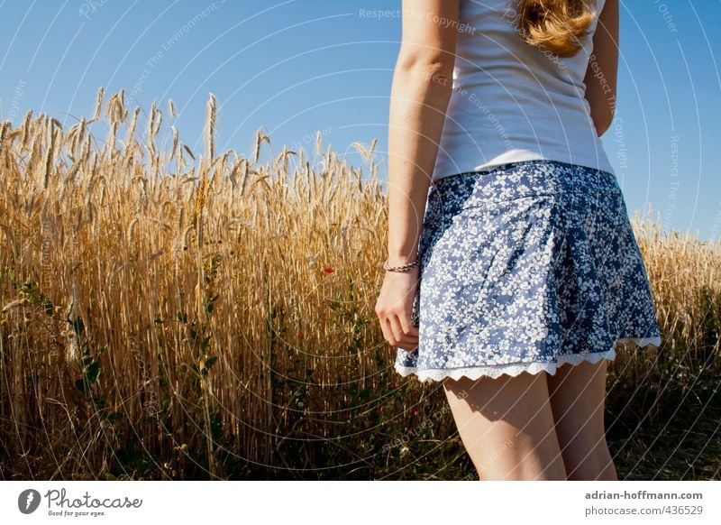 Sommerrock Mensch feminin Junge Frau Jugendliche Erwachsene 1 18-30 Jahre Natur Landschaft Himmel Wolkenloser Himmel Schönes Wetter Feld Blick stehen frei schön