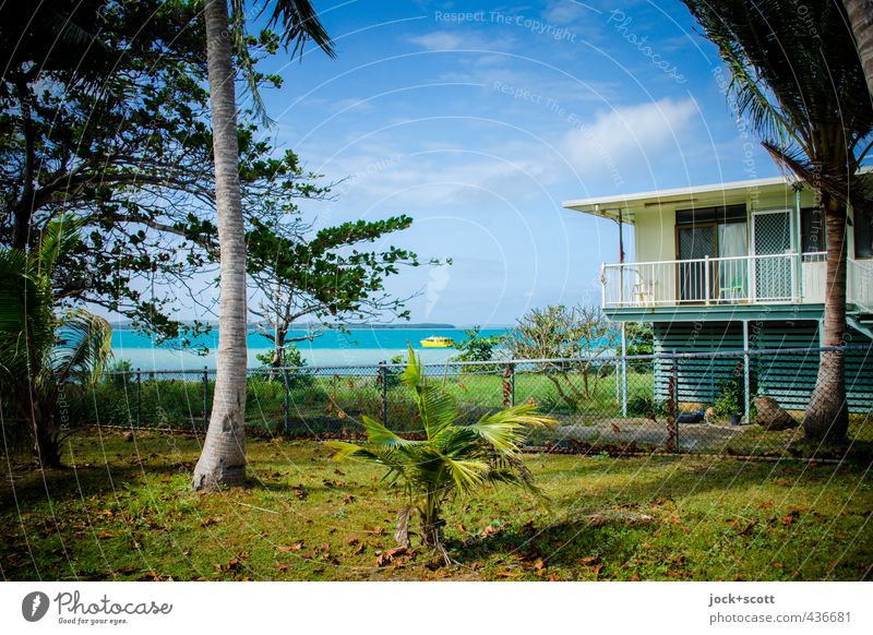 sea view, blue sky Lifestyle Wolken Schönes Wetter Baum exotisch Garten Wiese Küste Pazifik Queensland Motorboot Wärme Geborgenheit Idylle Umwelt