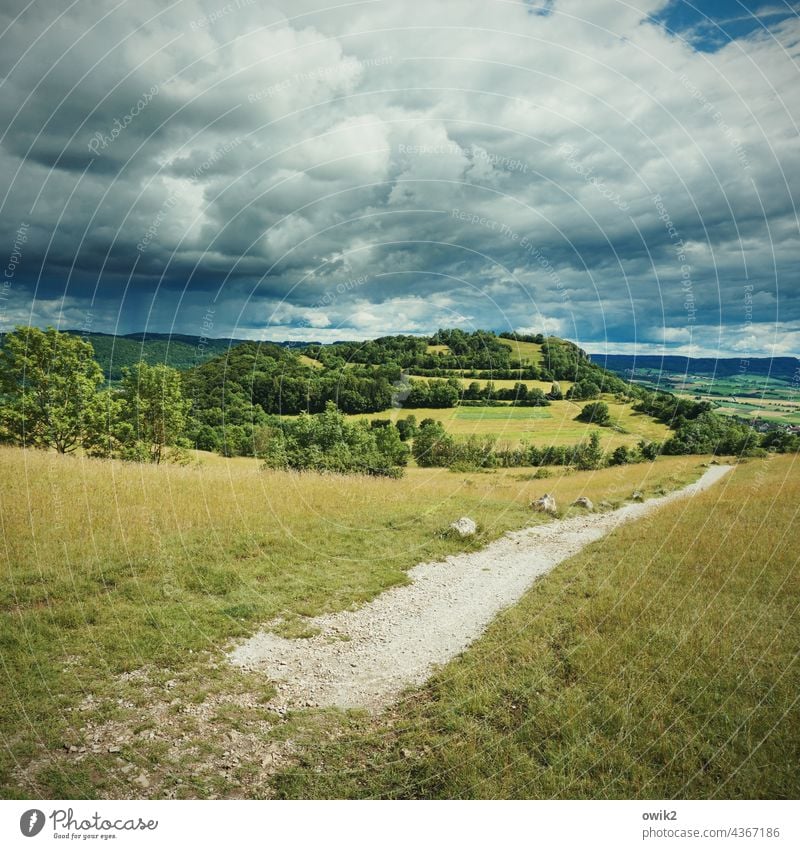 Trampelpfad Oberfranken Fränkische Schweiz Natur Fernsicht Aussichtsfelsen Weitblick Sonnenlicht malerisch ländlich im Freien natürlich Gras Hügel Wald Feld