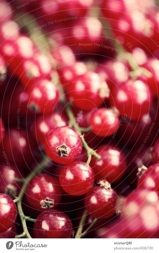 Johannisbeerrot. Lebensmittel ästhetisch Zufriedenheit Johannisbeeren Beeren viele Ernte Frucht Gesundheit Gesunde Ernährung vitaminreich Vegetarische Ernährung