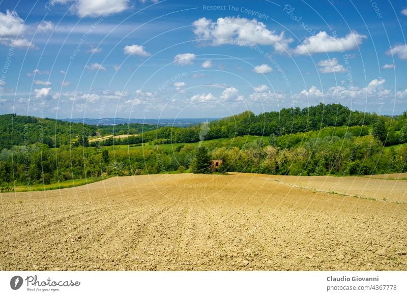 Frühlingslandschaft in den Hügeln von Tortona. Alessandria Kolli Tortonesi Europa Italien Piemonte Farbe Tag Feld grün Haus Landschaft Natur im Freien