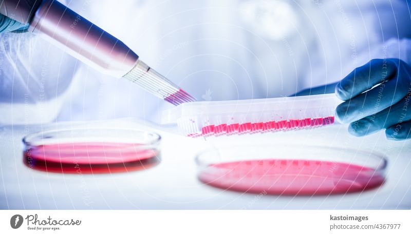 Detail eines Wissenschaftlers, der im Labor für die Entwicklung von Koronaviren-Impfstoffen mit einem Höchstmaß an Schutzausrüstung forscht. 2019-ncov Analyse