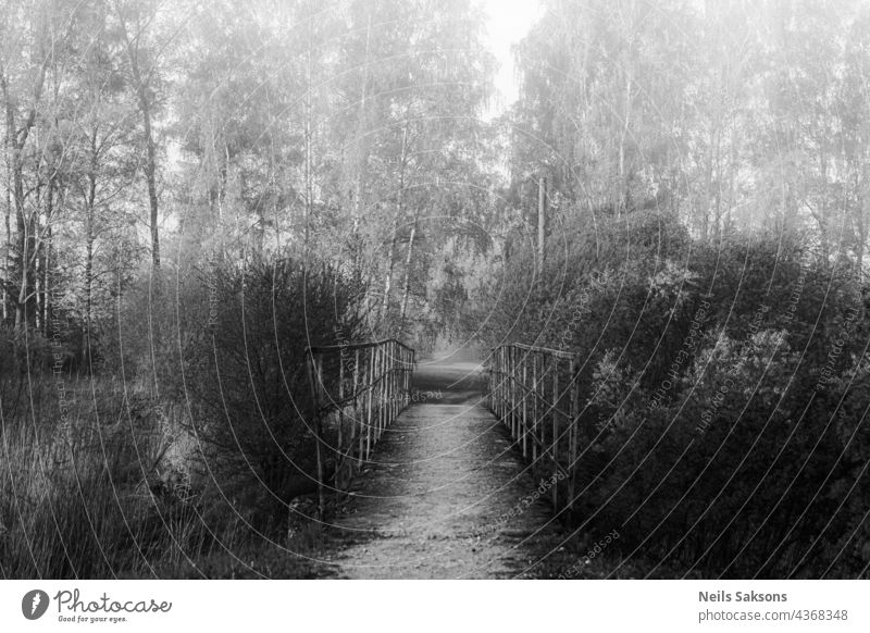 Fußgängerbrücke im Nebel an einem nebligen Frühlingsmorgen, Büsche, Bäume im Wald in der Ferne. Schwarz und weiß obskuren droomy Version Verlassen abstrakt