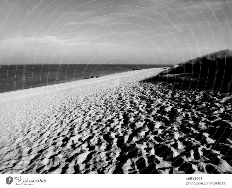 Nordseestrand Strand Meer Spuren Horizont Dünen Küste Ferien & Urlaub & Reisen Sand Landschaft Natur Erholung Nordseeküste Insel Sandstrand ä Schwarzweißfoto