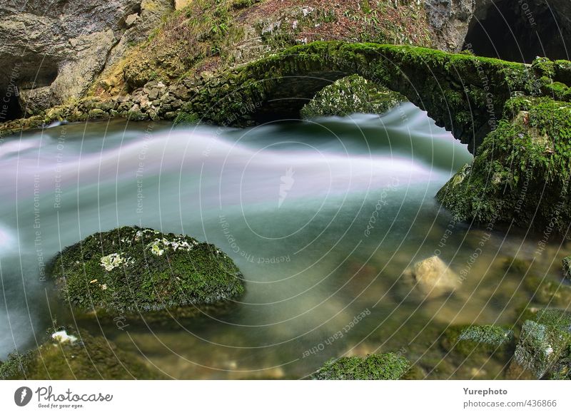 Brücke über unruhiges Wasser Natur Frühling Moos Farn Fluss Rakek Slowenien Alte Steinbrücke Schlucht Felsen Wasserstrahl Flüssigkeit nass wild blau grün