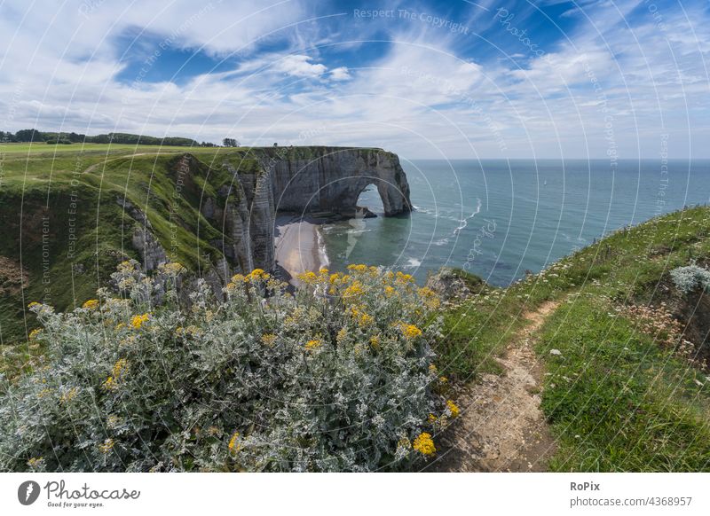 Steilküste in der Nähe von Etretat. Normandie Kanalküste Meer Fels Stein Seegang Strand beach Küste sea Frankreich france Nordsee Ozean Sandstrand Urlaub