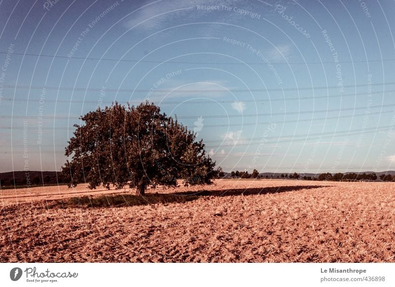 Irgendwo im Taunus II Umwelt Natur Landschaft Erde Sand Luft Himmel Wolken Sommer Schönes Wetter Wärme Dürre Baum Wallrabenstein ästhetisch blau braun gelb gold