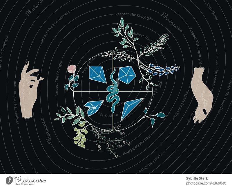 Zwei Hände, die ein Rad mit Kristallen, Kräutern und einer Schlange in der Mitte drehen Urelemente Abschnitte Küchenkräuter Blumen Gesundheit Zauberei u. Magie