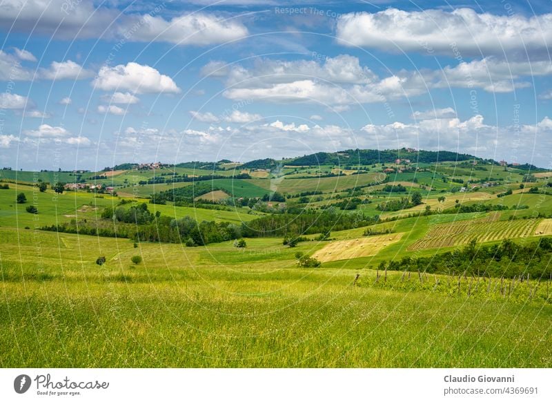 Frühlingslandschaft in den Hügeln von Tortona. Alessandria Cerreto Grue Kolli Tortonesi Europa Italien Piemonte Farbe Tag Feld grün Haus Landschaft Natur