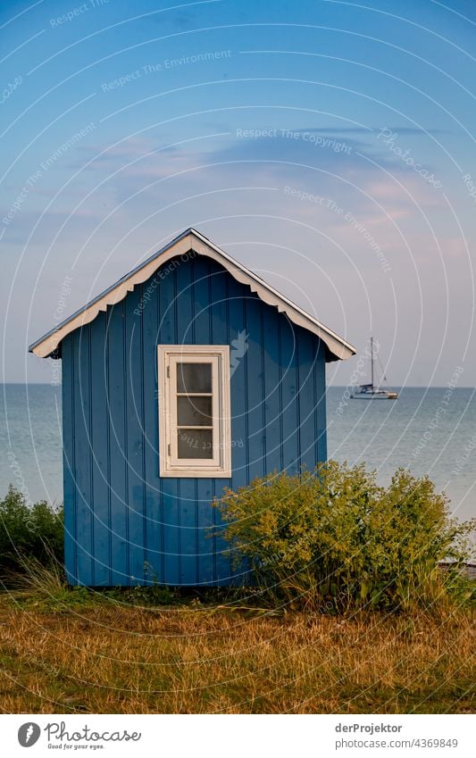 Strandhaus auf der hyggeligen Insel Ærø in Dänemark IV Holzhaus Skandinavien Einsamkeit Idylle Norden reisen sand europa Küste Landschaft Menschenleer Traumhaus