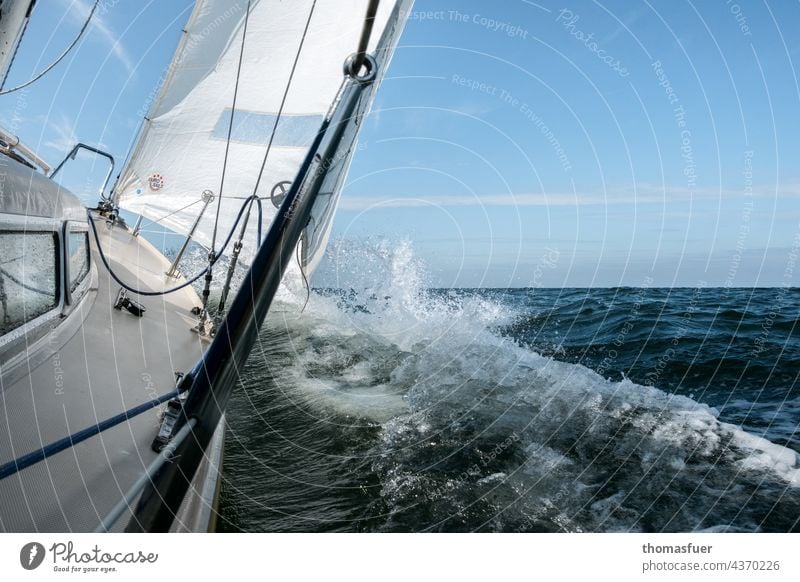 Segelboot in schneller Fahrt Wasser Segeln Wasserfahrzeug Meer Ferien & Urlaub & Reisen Außenaufnahme Sommer Abenteuer Himmel Wind Horizont Freiheit Ostsee