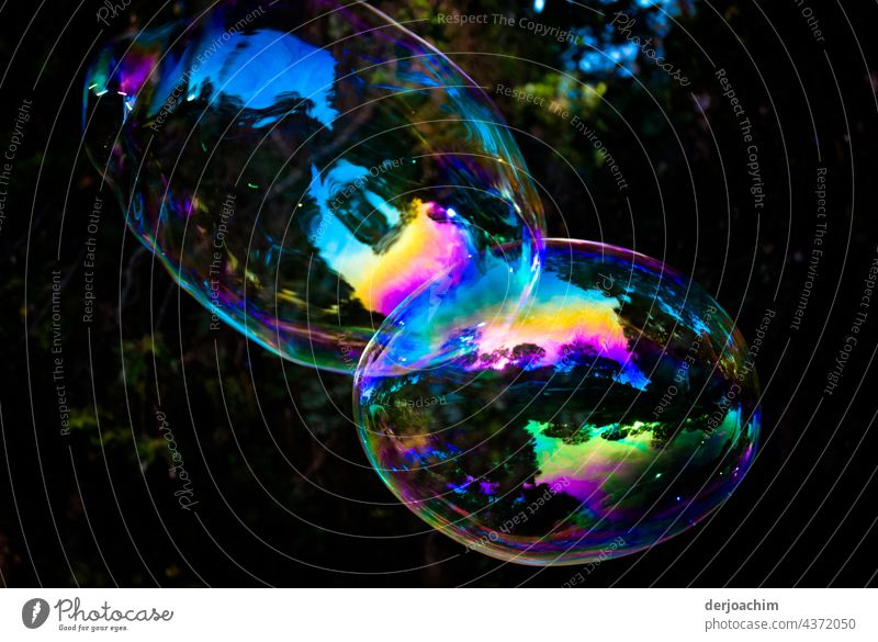 Zwei zusammen hängende bunte Seifenblasen , ziehen durch eine leichte Lufströmung vor einer grünen Hecke ihren Weg. Ganz prächtig und  schillernd sind sie eine Augenweide.