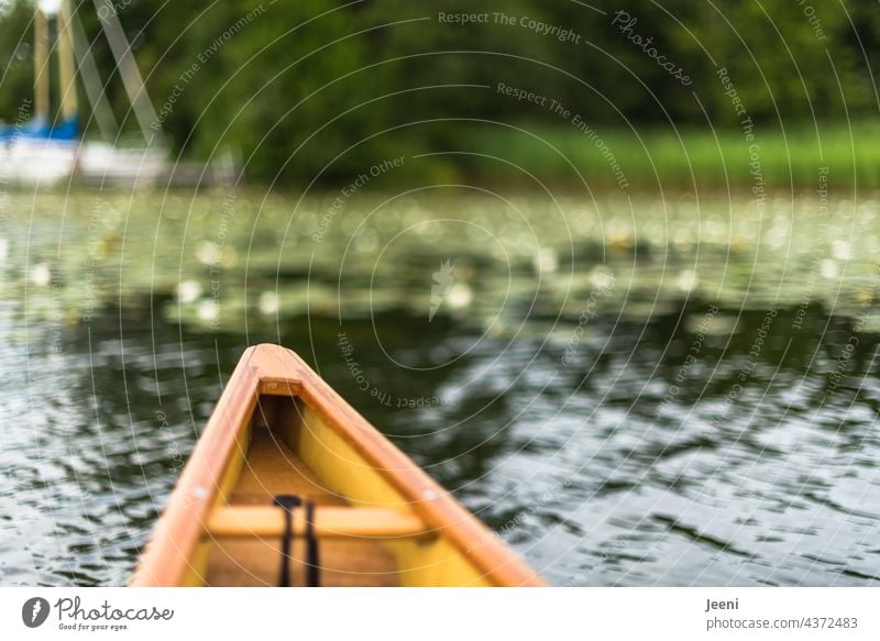 Wassersport Kanu Kanutour Ferien & Urlaub & Reisen See Natur Kajak Abenteuer Ausflug Fluss Freizeit & Hobby Sommer Paddeln Erholung Sommerurlaub Schönes Wetter