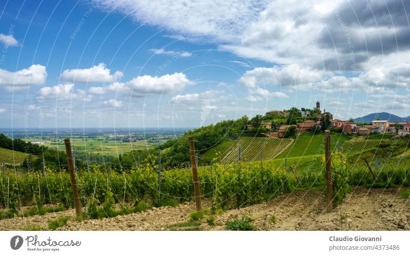 Frühlingslandschaft in den Hügeln von Tortona. Blick auf Monleale Alessandria Kolli Tortonesi Europa Italien Piemonte Volpedo Farbe Tag Feld grün Haus