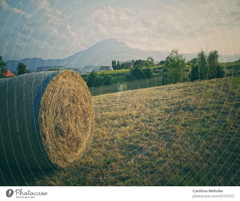 Strohballen - im Hintergrund der Pilatus Landwirtschaft Natur Himmel schweiz Landschaft Erholung Sonne baum Bäume Sommer Bauer Berge Sommerzeit feuchter