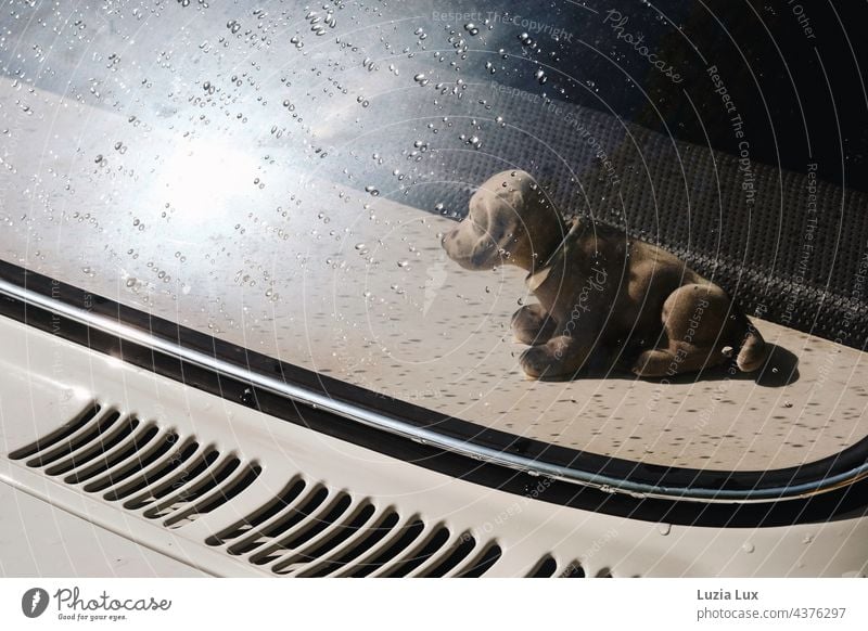 Wackeldackel, wechselhaftes Wetter Sonnenschein Auto alt Regentropfen Oldtimer Nostalgie Licht Sonnenlicht sonnig retro PKW Fahrzeug Außenaufnahme altehrwürdig