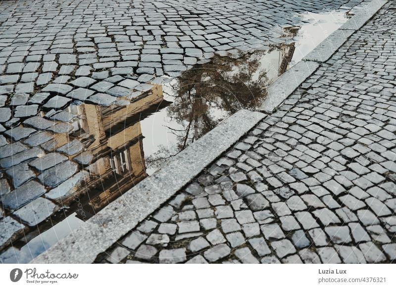 Kopfsteinpflaster, eine alte Villa spiegelt sich in einer Pfütze Pflastersteine Pflasterweg Spiegelung urban Stadt Reflexion & Spiegelung Außenaufnahme Wasser