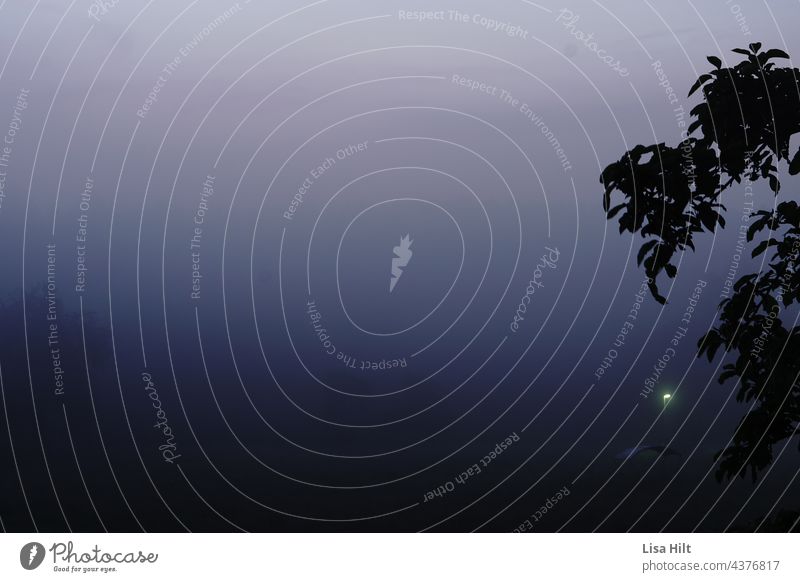 Dunkles Nebelbild mit Mond und Baum Twilight Dunkel mystisch melancholisch Melancholie wald Ast fog Morgenstunde geheimnisvoll shades blau