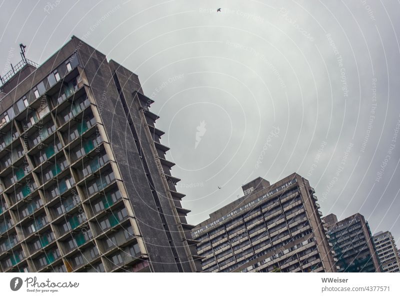 Diese Plattenbauten waren ein Vorzeige-Siedlungsprojekt der DDR, jetzt sind es verlassene Ruinen Hochhäuser Hochhaus Haus Neustadt wohnen bauen neues Wohnen