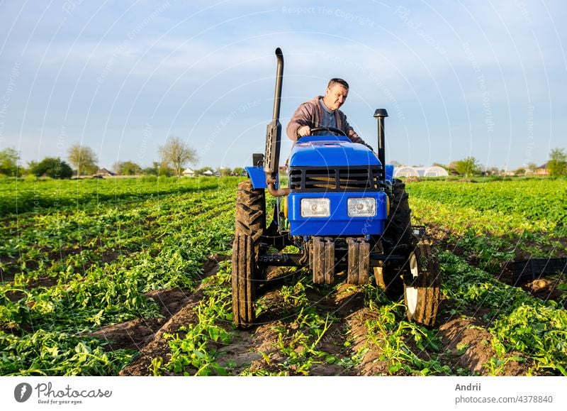 Der Bauer reitet auf einem Feld. Ernten Kampagne, Erdarbeiten. Agro-Industrie, Agro-Business. Landwirtschaft, Ackerbau. Ernte von Kartoffeln im frühen Frühling. Landleben Ackerland.