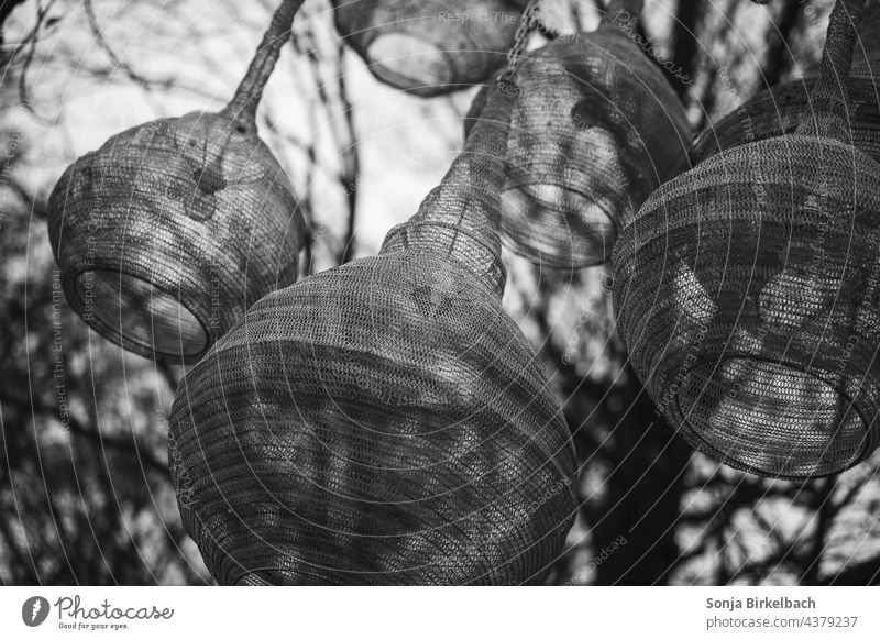 Lichter im Wald schwarzweiß Lampen Kunst Lampenschirme Druassen Bäume Winter Außenaufnahme Schwarzweißfoto Baum kalt Menschenleer surreal schräg Landschaft