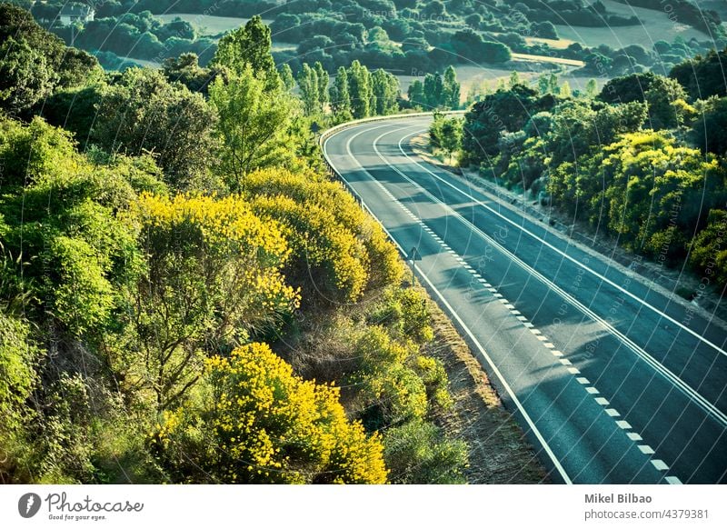 Blick auf eine Straße und Bäume in einer ländlichen Gegend. Luftaufnahme Reise oben Asphalt Feld grün Natur im Freien Antenne Landschaft Regie Landwirtschaft