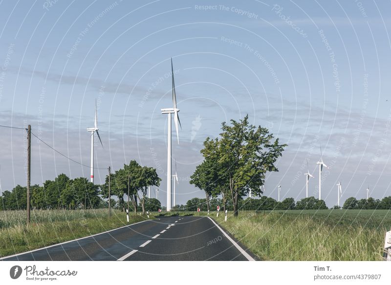 an avenue with windmills Brandenburg Windenergie Allee Landschaft Baum Außenaufnahme Farbfoto Menschenleer Umwelt Tag Straße road Verkehrswege Straßenverkehr