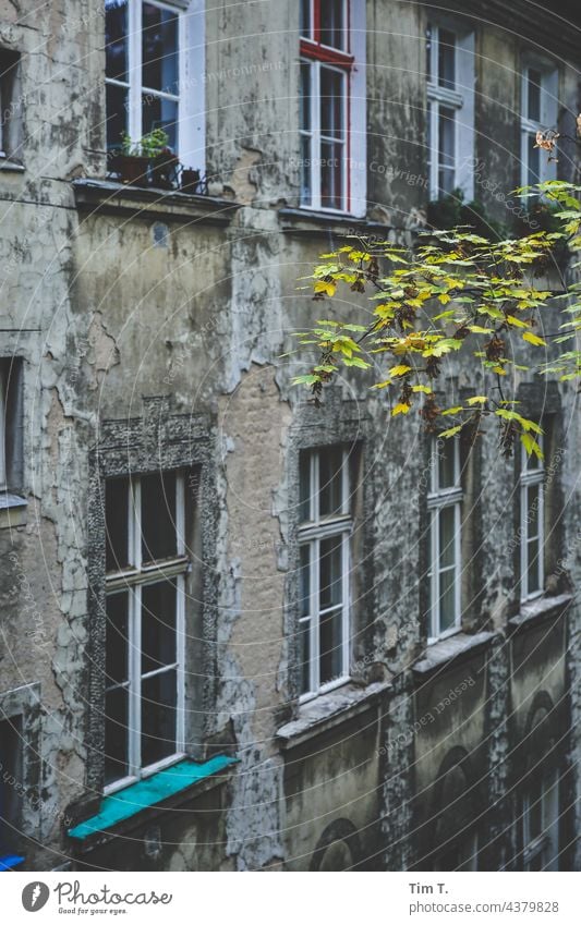 ein alter Hinterhof in Friedrichshain Berlin Farbfoto Menschenleer Stadt Hauptstadt Stadtzentrum Außenaufnahme Altstadt Fenster Bauwerk Gebäude Tag Fassade