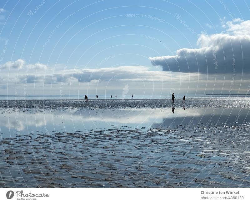 Silhouetten klein, Wolken spiegeln sich im Watt, schön und endlos weit Wattenmeer Wattwanderung Menschen Wattboden Meeresboden Wasser Nordsee Himmel Abendsonne