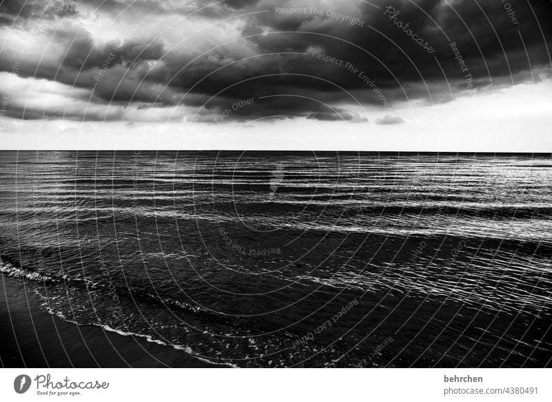 eindringlich dramatisch Usedom Schwarzweißfoto Freiheit weite Fernweh Sehnsucht Idylle Wasser Wellen Natur Wolken Himmel Ostsee Meer Strand Landschaft Küste